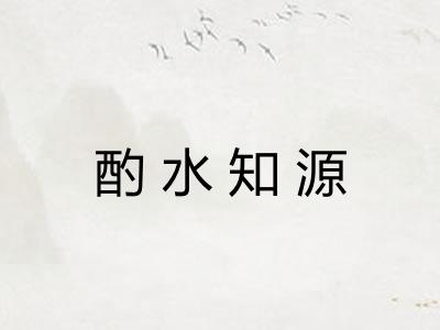 酌水知源