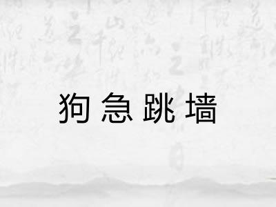 狗急跳墙 狗急跳墙