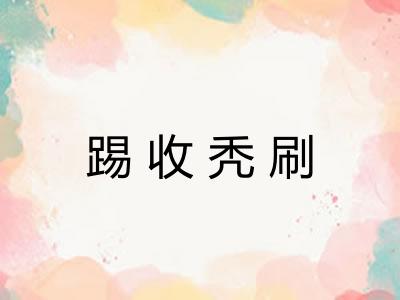 踢收秃刷 踢收秃刷