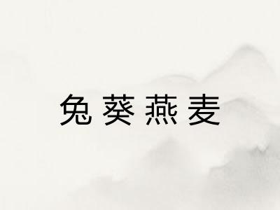 兔葵燕麦 兔葵燕麦