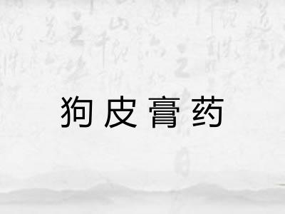 狗皮膏药 狗皮膏药