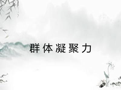 群体凝聚力 群体凝聚力