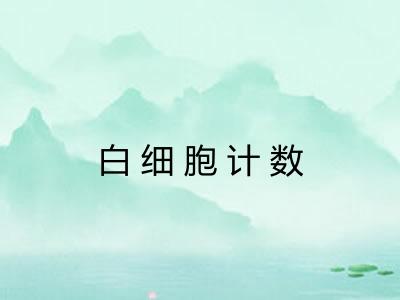 白细胞计数 白细胞计数