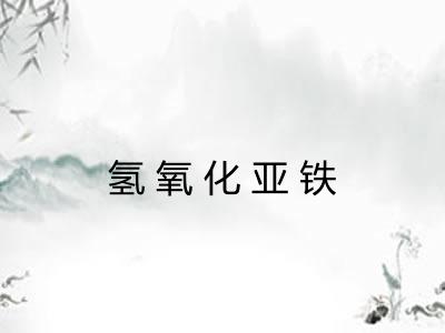 氢氧化亚铁 氢氧化亚铁