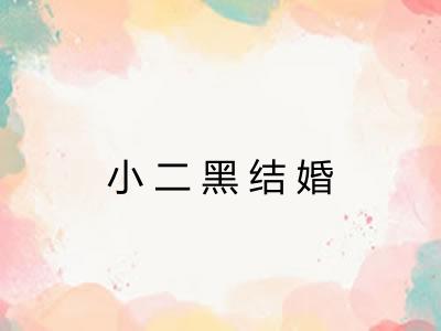 小二黑结婚 小二黑结婚