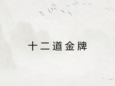 十二道金牌 十二道金牌