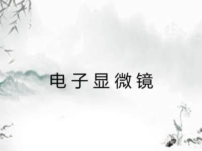 电子显微镜 电子显微镜