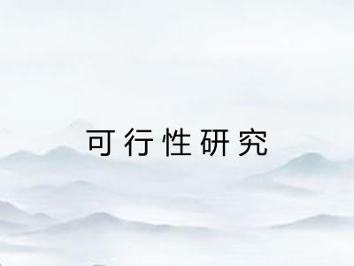 可行性研究 可行性研究