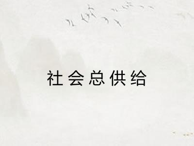 社会总供给 社会总供给