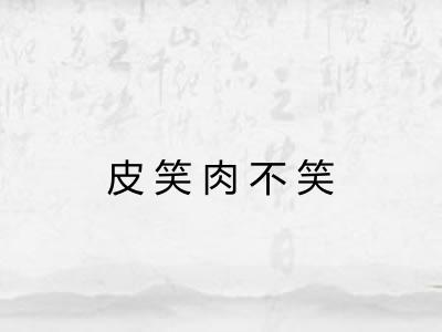 皮笑肉不笑 皮笑肉不笑