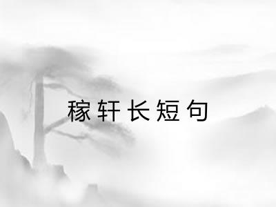 稼轩长短句 稼轩长短句