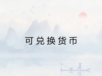 可兑换货币 可兑换货币