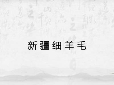 新疆细羊毛 新疆细羊毛