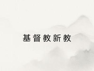 基督教新教 基督教新教