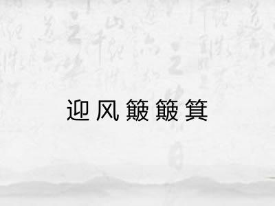 迎风簸簸箕 迎风簸簸箕
