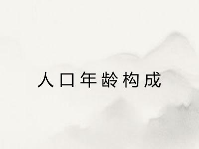 人口年龄构成 人口年龄构成
