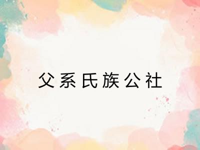 父系氏族公社 父系氏族公社