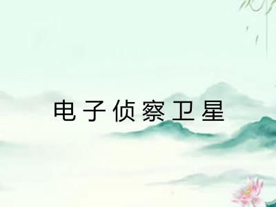 电子侦察卫星 电子侦察卫星