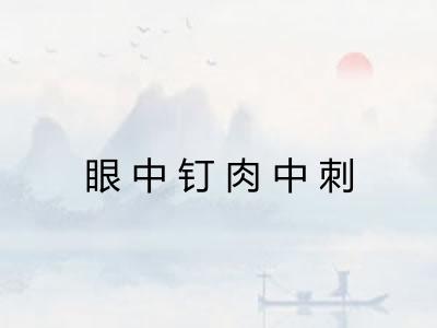 眼中钉肉中刺 眼中钉肉中刺