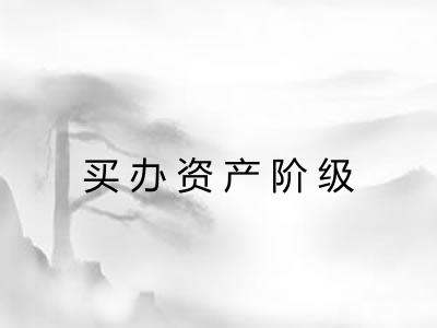 买办资产阶级 买办资产阶级