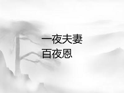 一夜夫妻百夜恩 一夜夫妻百夜恩