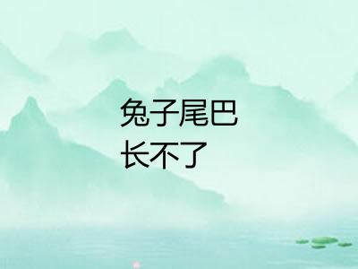 兔子尾巴长不了 兔子尾巴长不了