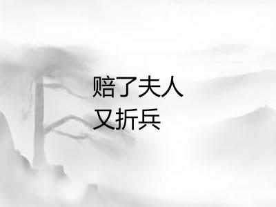 赔了夫人又折兵 赔了夫人又折兵