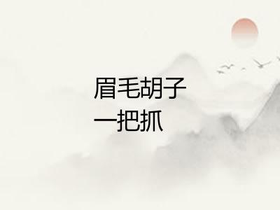 眉毛胡子一把抓 眉毛胡子一把抓