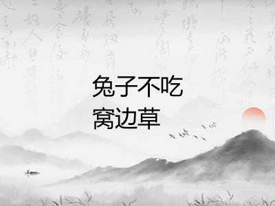 兔子不吃窝边草