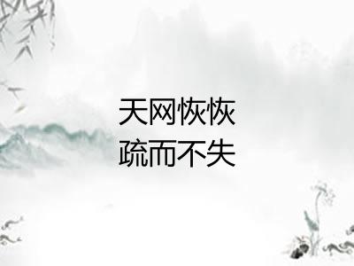 天网恢恢疏而不失 天网恢恢疏而不失