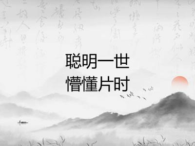 聪明一世懵懂片时 聪明一世懵懂片时
