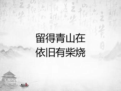 留得青山在依旧有柴烧