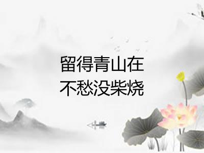留得青山在不愁没柴烧