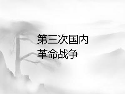 第三次国内革命战争
